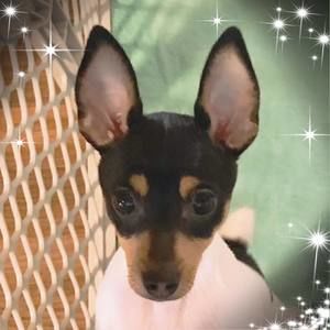 Meet your Posher, Jackie